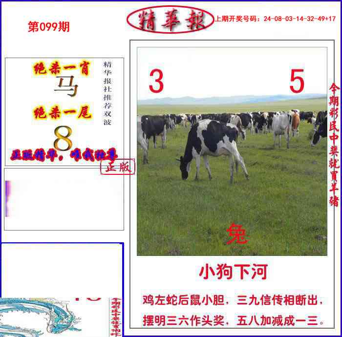 099期新精华报报[图]